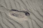 Patara Sand